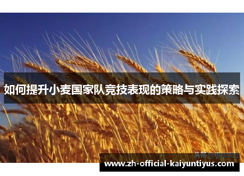 如何提升小麦国家队竞技表现的策略与实践探索